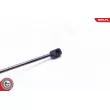 Vérin, capot-moteur ESEN SKV 52SKV113 - Visuel 2