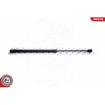 Vérin, capot-moteur ESEN SKV 52SKV114