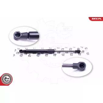 Vérin de hayon, de coffre ESEN SKV 52SKV305