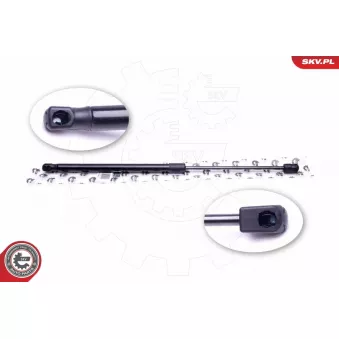 Vérin de hayon, de coffre ESEN SKV 52SKV315