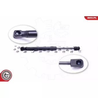 Vérin de hayon, de coffre ESEN SKV