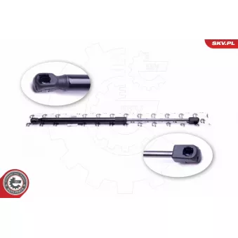 Vérin de hayon, de coffre ESEN SKV 52SKV318