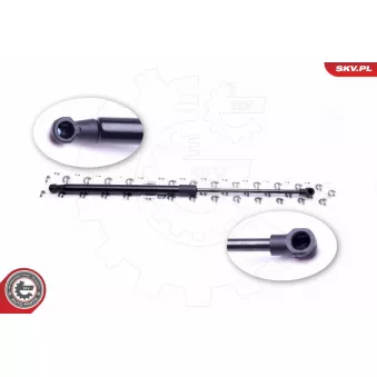 Vérin de hayon, de coffre ESEN SKV 52SKV320