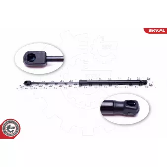 Vérin de hayon, de coffre ESEN SKV 52SKV324