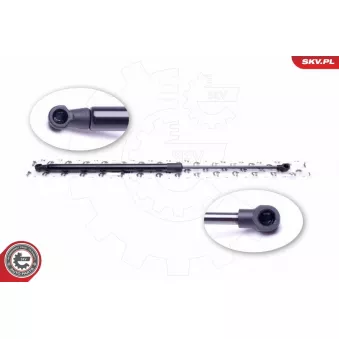 Vérin de hayon, de coffre ESEN SKV 52SKV328