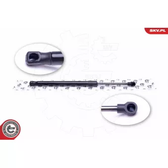 Vérin de hayon, de coffre ESEN SKV 52SKV333