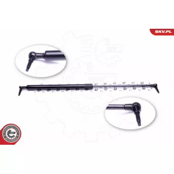 Vérin de hayon, de coffre ESEN SKV 52SKV338