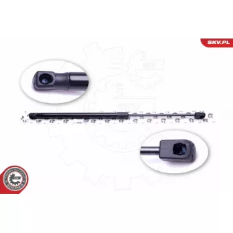 Vérin de hayon, de coffre ESEN SKV