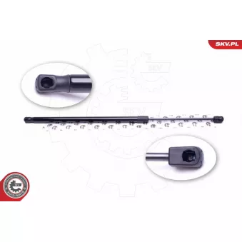 Vérin de hayon, de coffre ESEN SKV