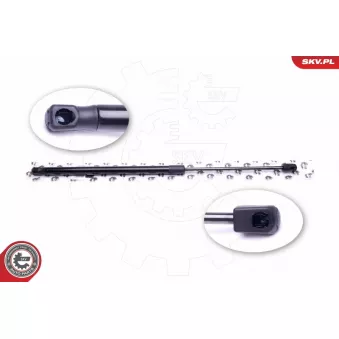 Vérin de hayon, de coffre ESEN SKV