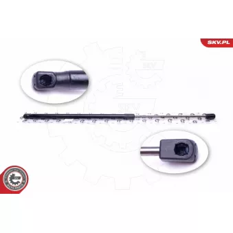 Vérin de hayon, de coffre ESEN SKV 52SKV353