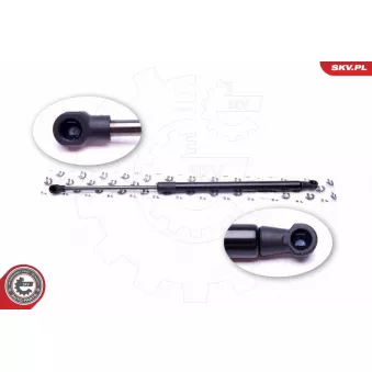 Vérin de hayon, de coffre ESEN SKV