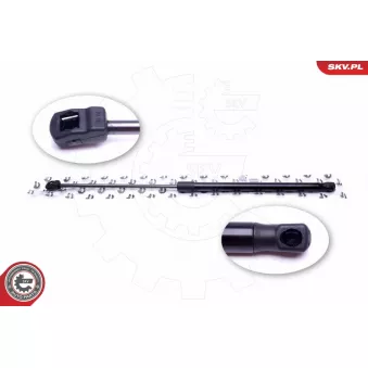 Vérin de hayon, de coffre ESEN SKV