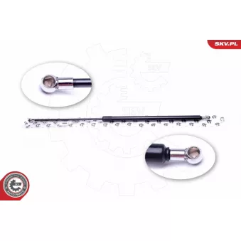 Vérin de hayon, de coffre ESEN SKV