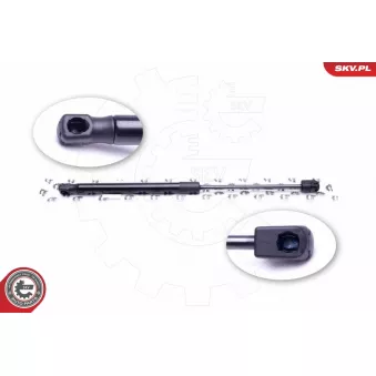 Vérin de hayon, de coffre ESEN SKV