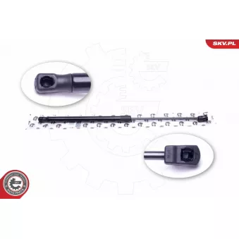 Vérin de hayon, de coffre ESEN SKV 52SKV423