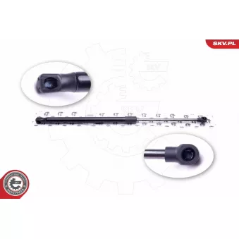 Vérin de hayon, de coffre ESEN SKV