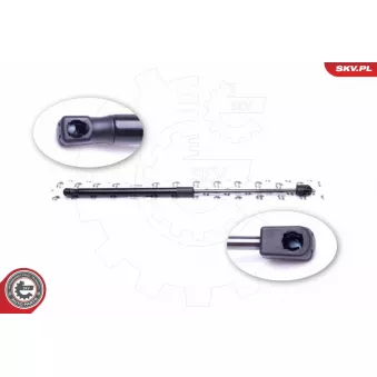 Vérin de hayon, de coffre ESEN SKV 52SKV450