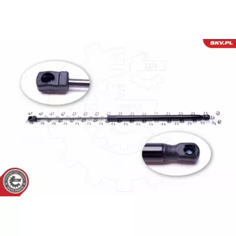 Vérin de hayon, de coffre ESEN SKV