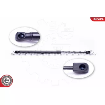 Vérin de hayon, de coffre ESEN SKV