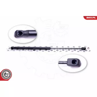 Vérin de hayon, de coffre ESEN SKV