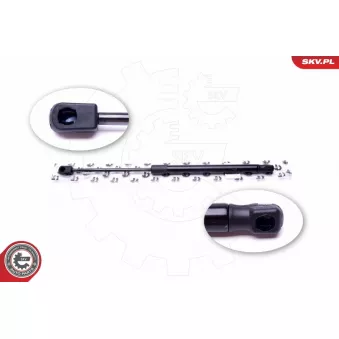 Vérin de hayon, de coffre ESEN SKV 52SKV491