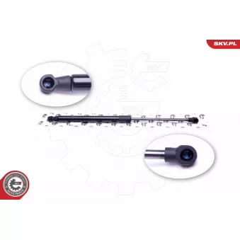 Vérin de hayon, de coffre ESEN SKV 52SKV502