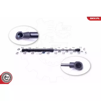 Vérin de hayon, de coffre ESEN SKV 52SKV503