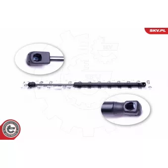 Vérin de hayon, de coffre ESEN SKV 52SKV505