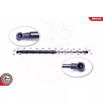 Vérin de hayon, de coffre ESEN SKV 52SKV508