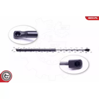 Vérin de hayon, de coffre ESEN SKV