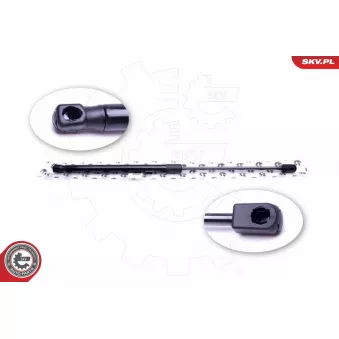 Vérin de hayon, de coffre ESEN SKV 52SKV517