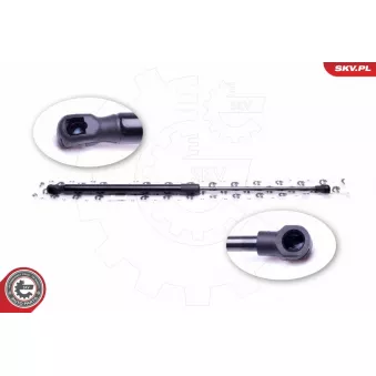 Vérin de hayon, de coffre ESEN SKV 52SKV525