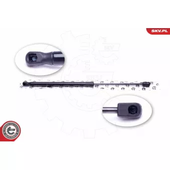 Vérin de hayon, de coffre ESEN SKV