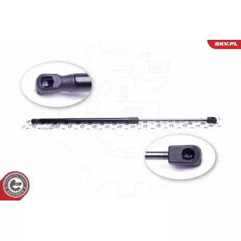 Vérin de hayon, de coffre ESEN SKV