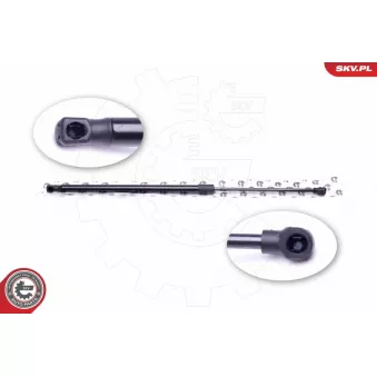 Vérin de hayon, de coffre ESEN SKV 52SKV557