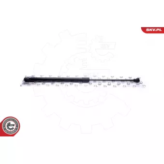 Vérin de hayon, de coffre ESEN SKV 52SKV571