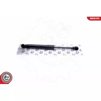 Vérin de hayon, de coffre ESEN SKV