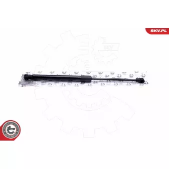 Vérin de hayon, de coffre ESEN SKV