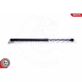 Vérin de hayon, de coffre ESEN SKV 52SKV606