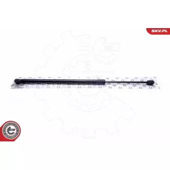 Vérin de hayon, de coffre ESEN SKV 52SKV617