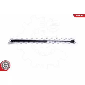 Vérin de hayon, de coffre ESEN SKV 52SKV625