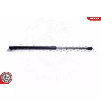 Vérin de hayon, de coffre ESEN SKV 52SKV672