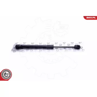 Vérin de hayon, de coffre ESEN SKV