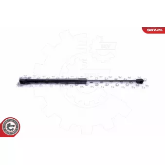 Vérin de hayon, de coffre ESEN SKV 52SKV676