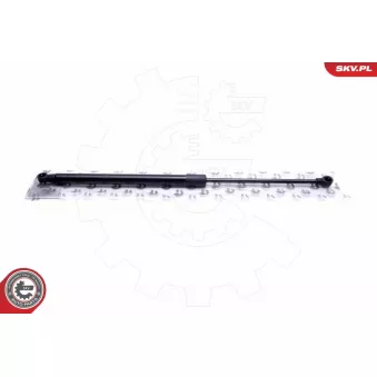 Vérin de hayon, de coffre ESEN SKV 52SKV698