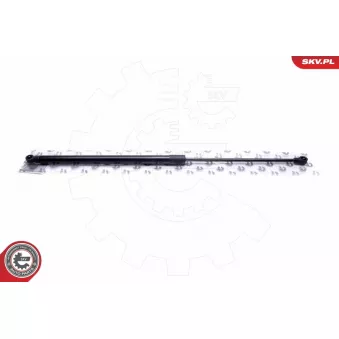 Vérin de hayon, de coffre ESEN SKV