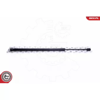 Vérin de hayon, de coffre ESEN SKV 52SKV713