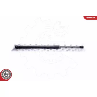 Vérin de hayon, de coffre ESEN SKV 52SKV716