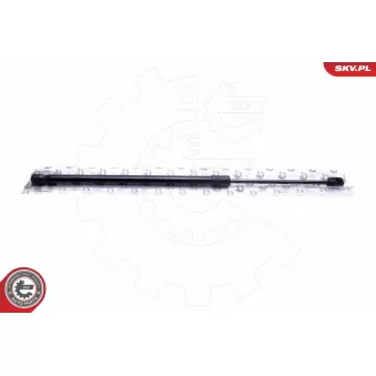 Vérin de hayon, de coffre ESEN SKV 52SKV718